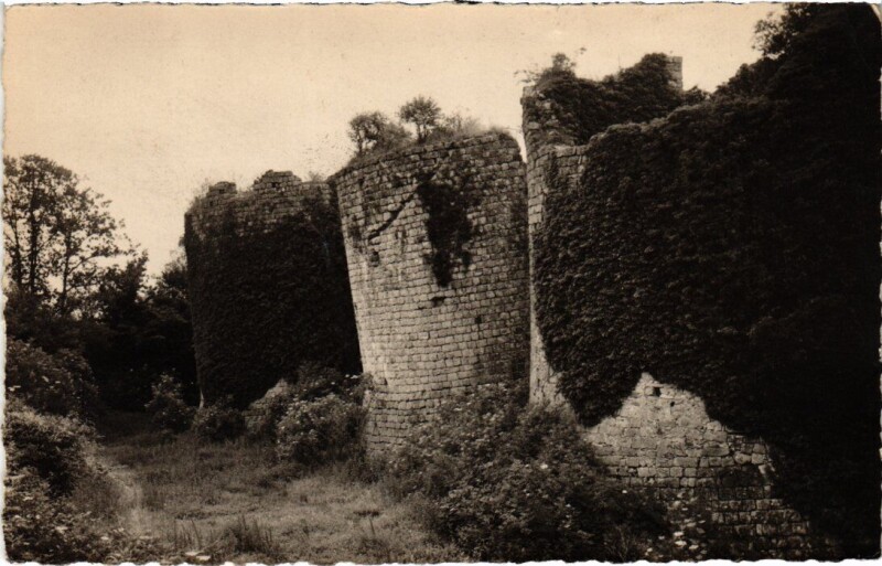 Carte postale ancienne Louan-Villegruis-Fontaine Les Ruines de Montaiguillon à Louan-Villegruis-Fontaine