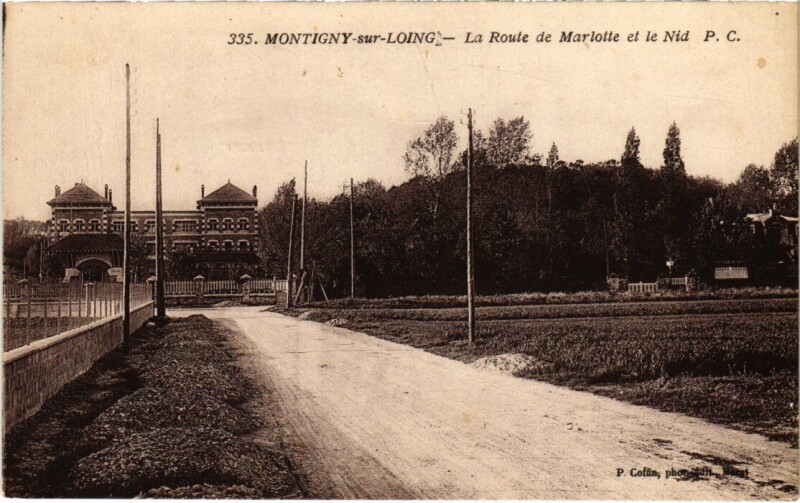 Carte postale ancienne Montigny-sur-Loing La Route de Marlotte et le Nid à Montigny-sur-Loing