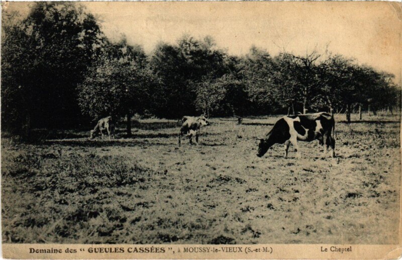 Carte postale ancienne Moussy-le-Vieux Domaine des Gueules Cassees - Le Cheptel à Moussy-le-Vieux
