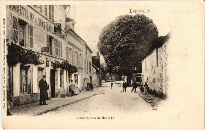 Carte postale ancienne Luzancy Le Marronnier de Henri Iv à Luzancy
