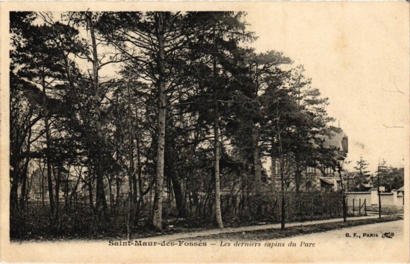 Carte postale ancienne St Maur Les derniers sapins du Parc