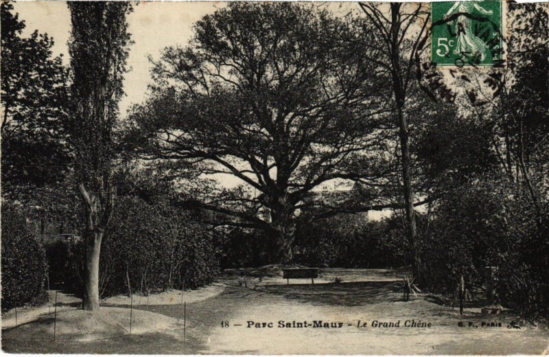 Carte postale ancienne St Maur Le Grand Chene