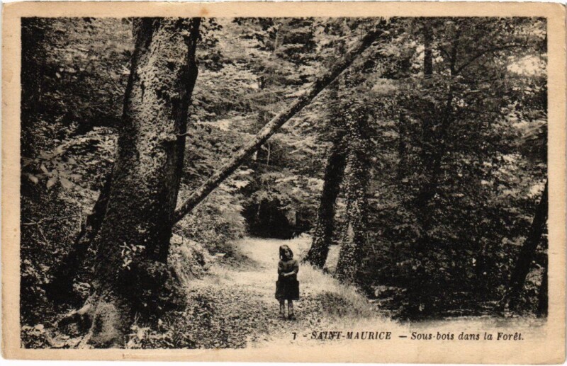 Carte postale ancienne St Maurice Sous bois dans la Foret