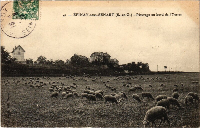Carte postale ancienne Epinay s Senard Paturage au bord de l'Yerres à Yerres