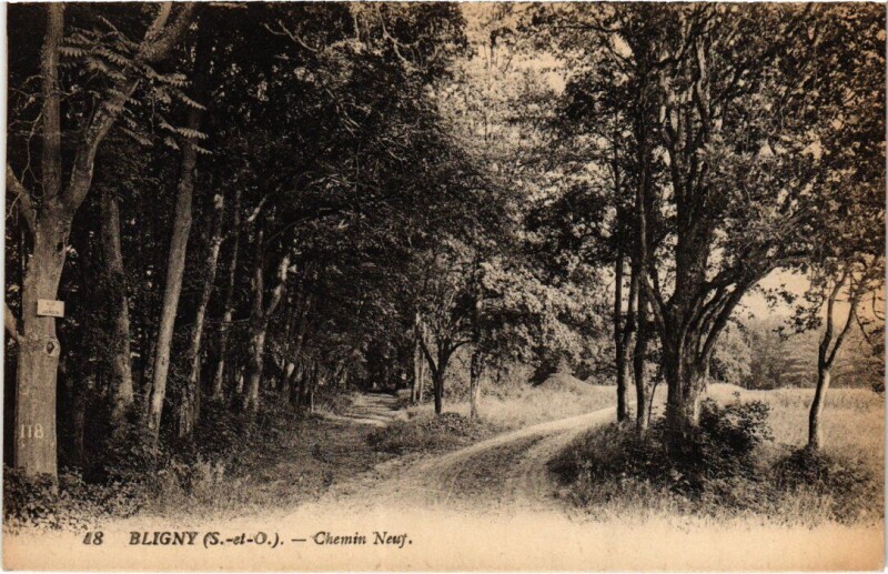 Carte postale ancienne Briis s Forges Bligny Chemin Neuf
