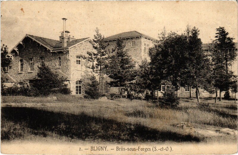 Carte postale ancienne Briis s Forges Bligny