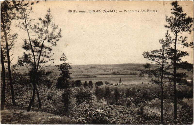 Carte postale ancienne Briis s Forges panorama