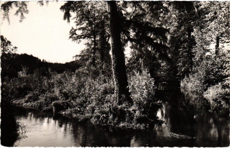 Carte postale ancienne Boissy Les bords de la Juine