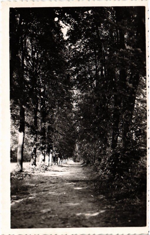 Carte postale ancienne Draveil Le Parc à Draveil
