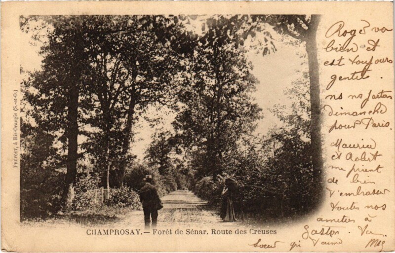Carte postale ancienne Draveil Foret de Senar à Draveil
