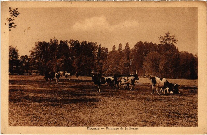 Carte postale ancienne Crosnes Paturage de la Ferme à Crosne