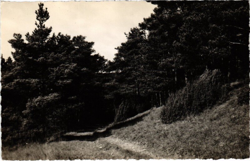 Carte postale ancienne Boissy Un chemin