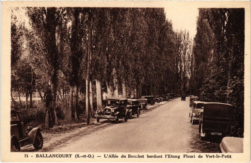 Carte postale ancienne Ballancourt Allee du Bouchet