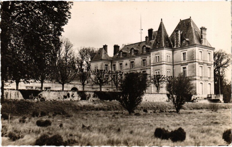 Carte postale ancienne Cerny Chateau de Villiers à Cerny