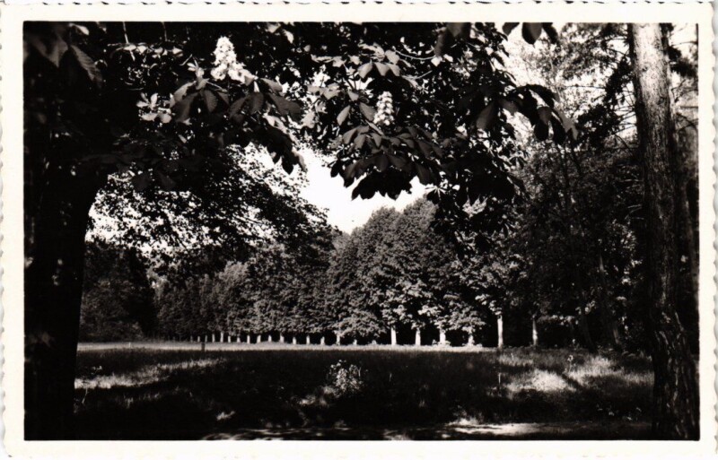 Carte postale ancienne Draveil Villa Georges Laure Le Parc à Draveil