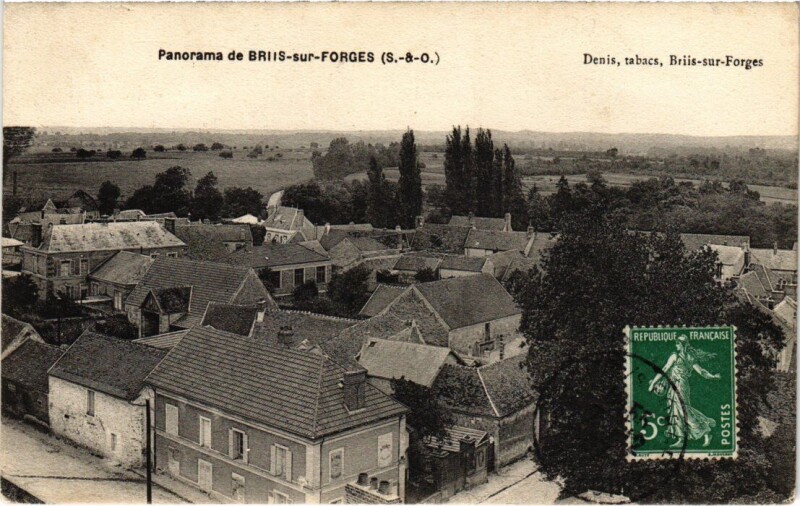 Carte postale ancienne Briis s Forges panorama