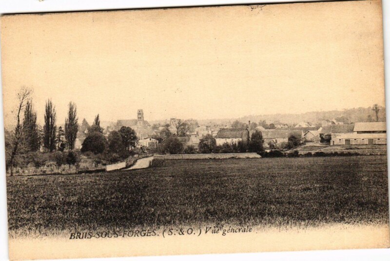 Carte postale ancienne Briis s Forges vue generale