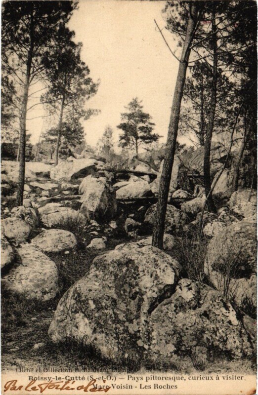 Carte postale ancienne Boissy Les Roches