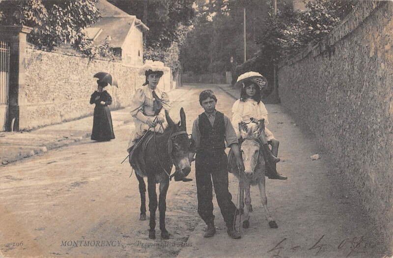 Carte postale ancienne Montmorency / Promenade D'Anes / cpa rare à Montmorency