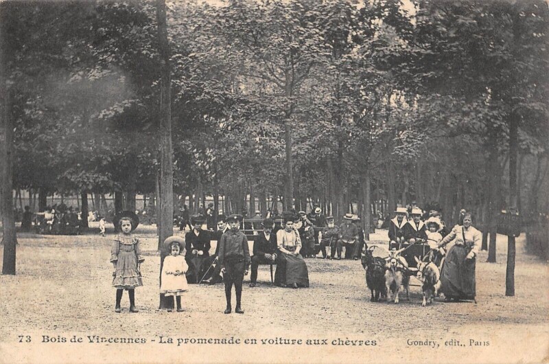 Carte postale ancienne Bois De Vincennes - La Promenade En Voiture Aux Chevres - cliché rare à Vincennes
