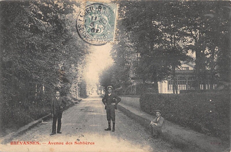 Carte postale ancienne Brevannes Avenue Des Sablieres