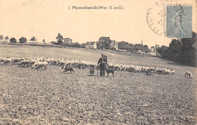 Carte postale ancienne Montmeliant - Saint Witz à Saint-Witz