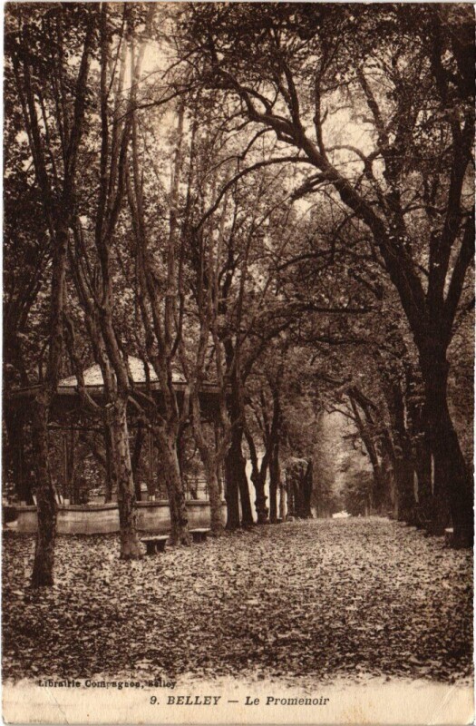 Carte postale ancienne Belley Le Promenoir à Belley