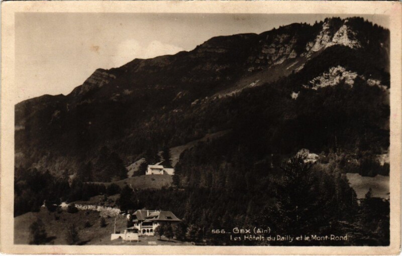 Carte postale ancienne Gex Les Hotels du Dailly et le Mont-Rond