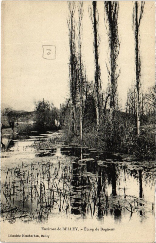 Carte postale ancienne Env. de Belley Etang de Bognens à Belley