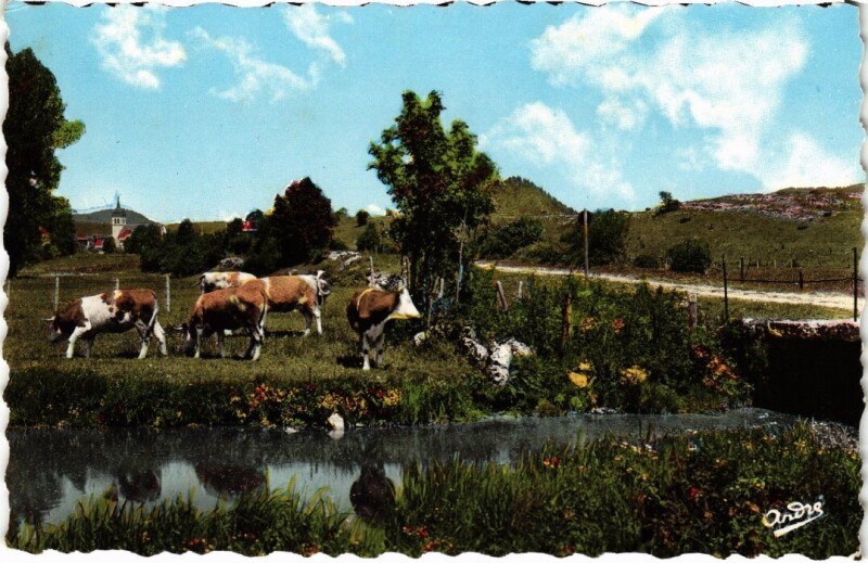 Carte postale ancienne Brenod Le Pont de la Gorge
