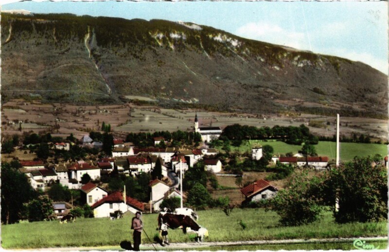 Carte postale ancienne Chatillon-de-Michaille Vue Generale