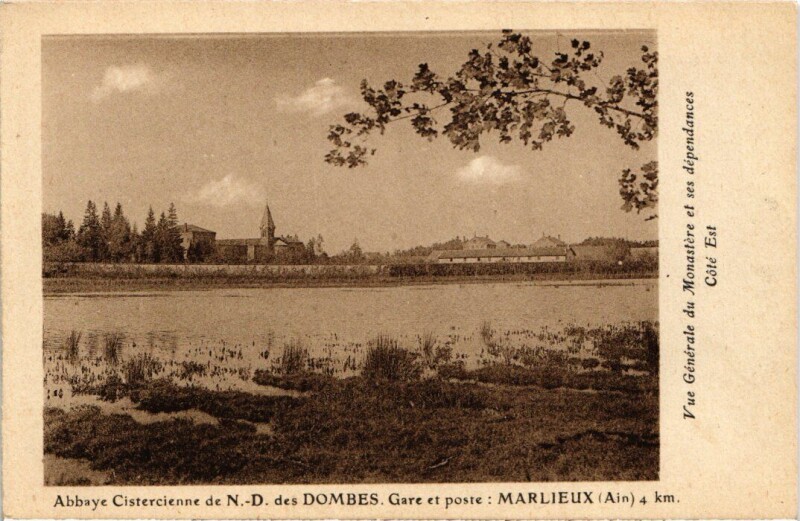 Carte postale ancienne Abbaye Cistercienne de N.-D. des Dombes - Vue Generale
