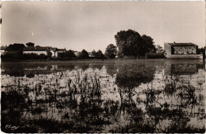 Carte postale ancienne Bouligneux Chateau et son Etang - Vue Generale à Bouligneux