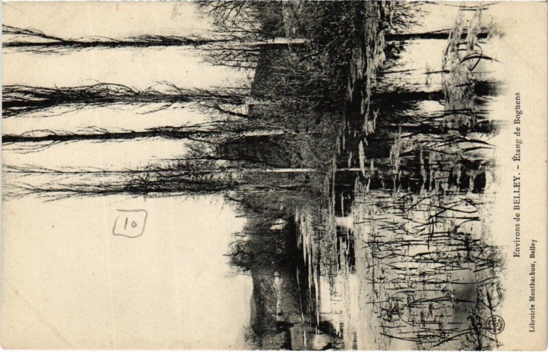 Carte postale ancienne Env. de Belley Etang de Bognens à Belley