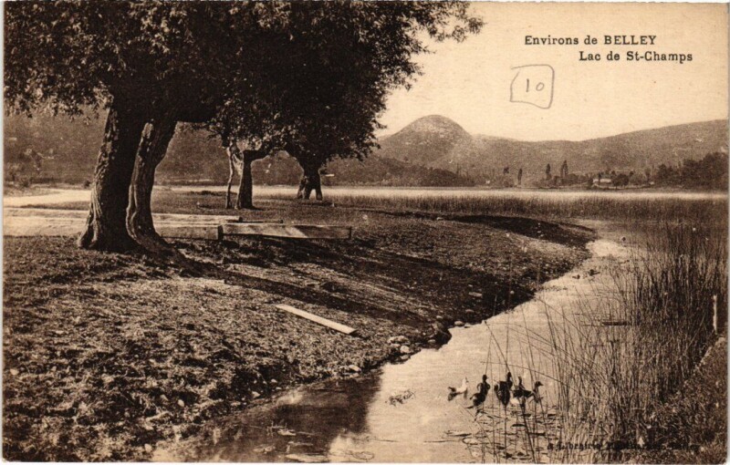 Carte postale ancienne Env. de Belley Lac de Saint-Camps à Belley