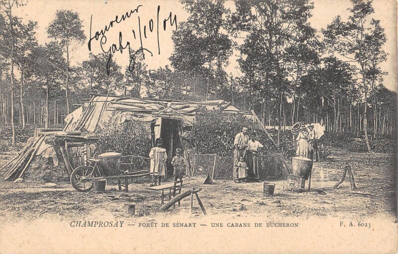 Carte postale ancienne Champrosay - Foret De Senart - Une Cabane De Bucherons