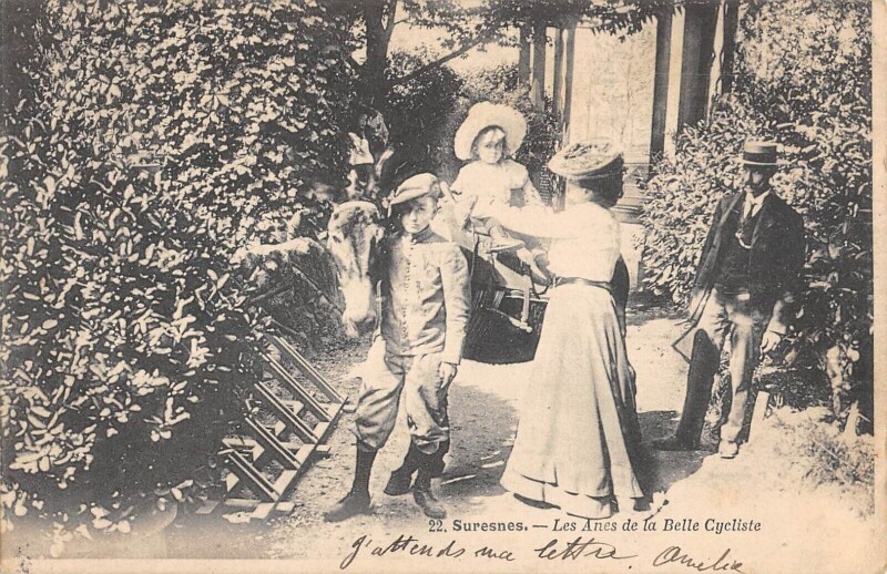 Carte postale ancienne Suresnes / Les Anes De La Belle Cycliste à Suresnes