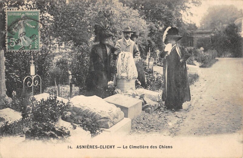 Carte postale ancienne Asnieres / Le Cimetiere Des Chiens