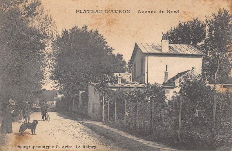 Carte postale ancienne Plateau D'Avron - Avenue Du Nord
