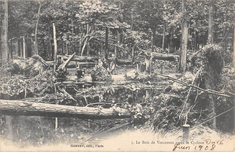 Carte postale ancienne Le Bois De Vincennes Apres Le Cyclone à Vincennes