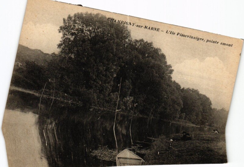 Carte postale ancienne Champigny-sur-Marne L'Ile Pissevinaigre - Pointe Amont à Champigny-sur-Marne