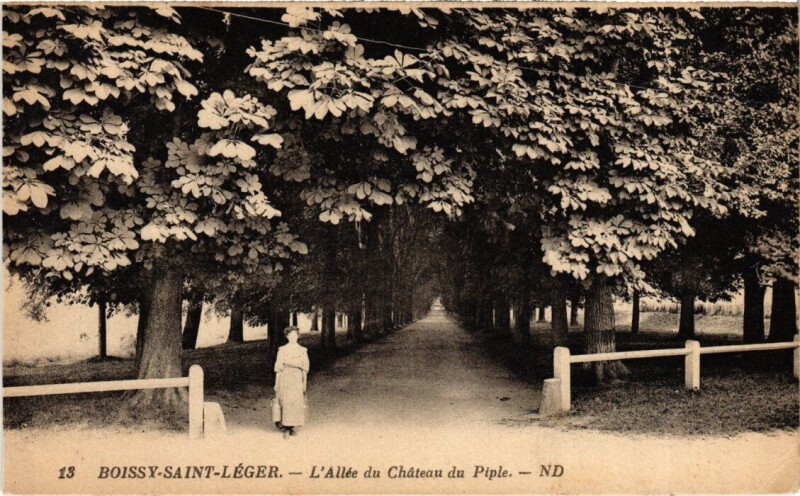 Carte postale ancienne Boissy-Saint-Leger Allee du Chateau du Piple