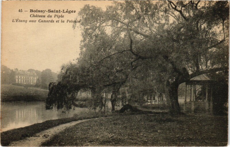 Carte postale ancienne Boissy-Saint-Leger Chateau du Piple - Etang aux Canards