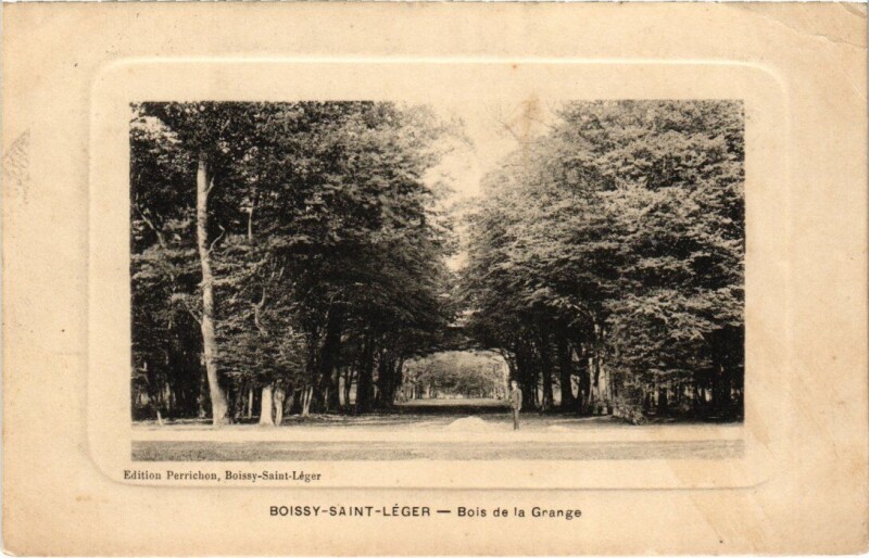 Carte postale ancienne Boissy-Saint-Leger Bois de la Grange