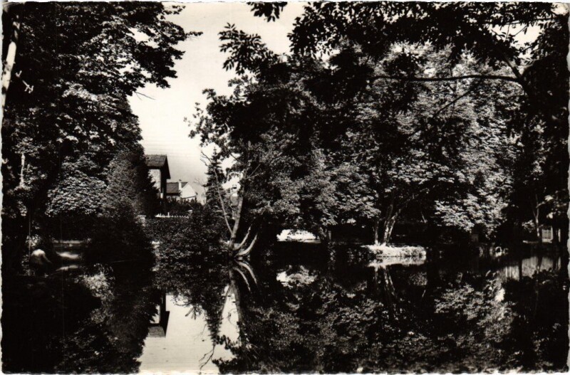 Carte postale ancienne Sucy-en-Brie L'Etang à Sucy-en-Brie