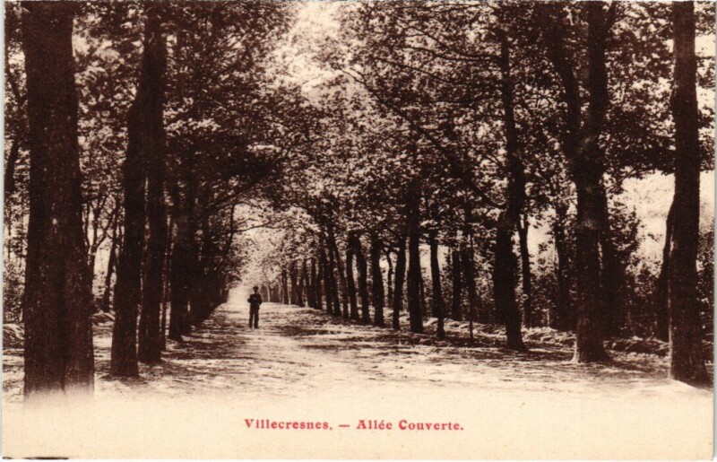 Carte postale ancienne Villecresnes Allee Couverte à Villecresnes