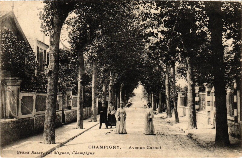 Carte postale ancienne Champigny-sur-Marne Avenue Carnot à Champigny-sur-Marne