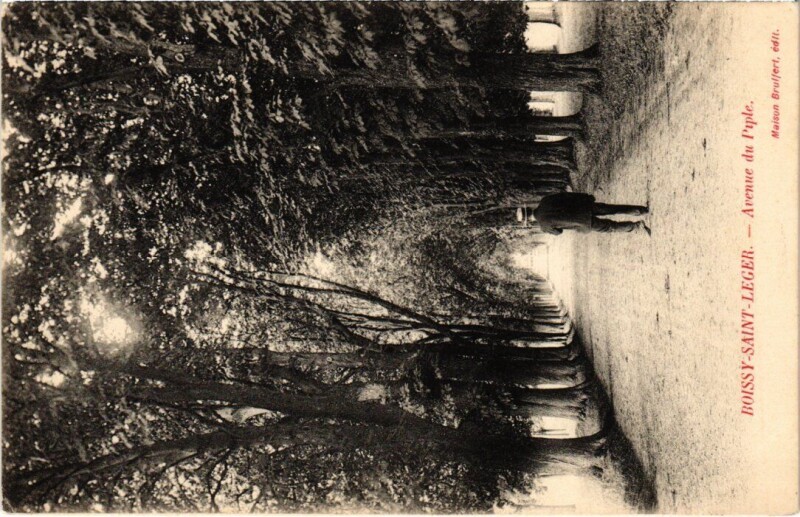 Carte postale ancienne Boissy-Saint-Leger Avenue du Piple