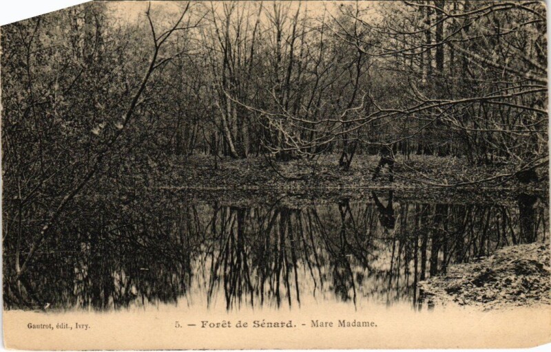 Carte postale ancienne Draveil Foret de Senart Mare Madame à Draveil