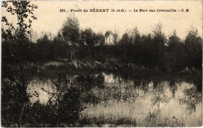 Carte postale ancienne Draveil Foret de Senart La Mare aux Grenouilles à Draveil
